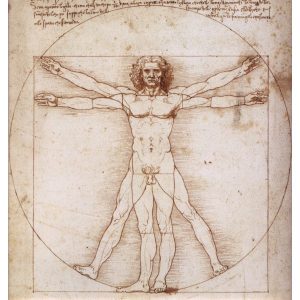 Leonardo Da Vinci, L'uomo Vitruviano
